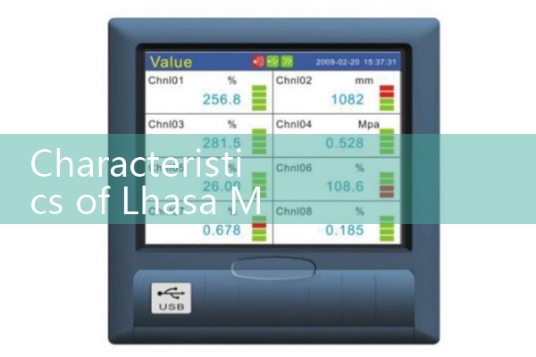 Characteristics of Lhasa Mass Flow Meter